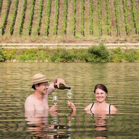 Wohnen Am Weingut - Bei Den Weinbergen Apartamento Briedel