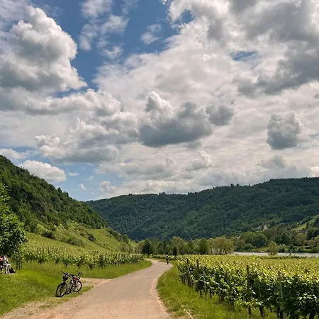 Wohnen Am Weingut - Bei Den Weinbergen *