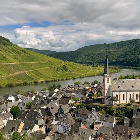 Wohnen Am Weingut - Bei Den Weinbergen Apartamento Briedel
