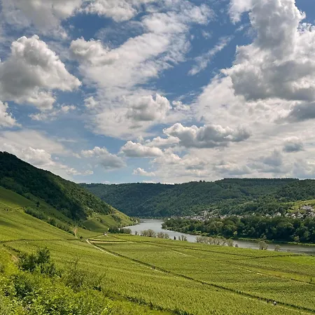 Wohnen Am Weingut - Bei Den Weinbergen *