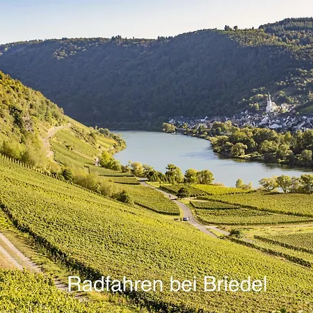 Wohnen Am Weingut - Bei Den Weinbergen 아파트 *