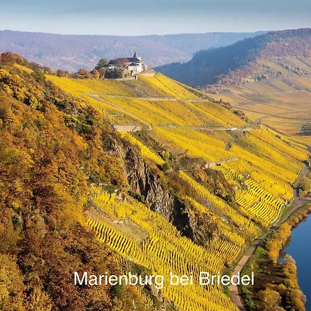 Wohnen Am Weingut - Bei Den Weinbergen 아파트 *