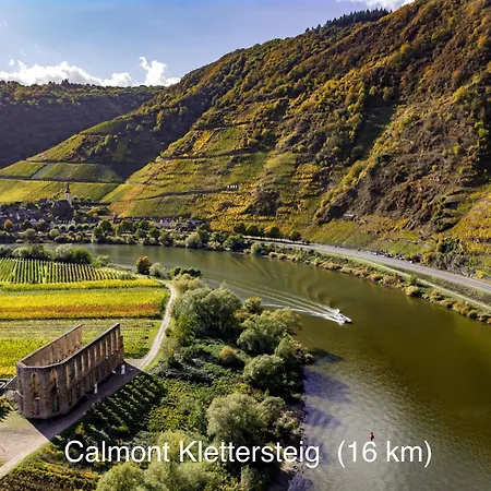 Wohnen Am Weingut - Bei Den Weinbergen 아파트 브리에델