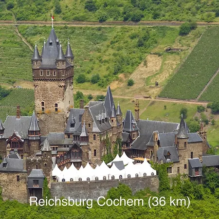 Daire Wohnen Am Weingut - Bei Den Weinbergen Briedel